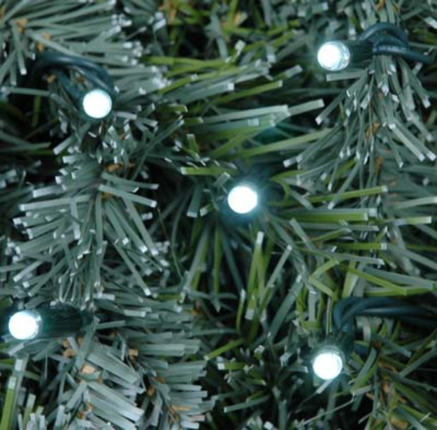 White LED Mini Christmas Lights 50 Bulb