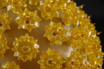 Gold 100 Light Starlight Sphere 7.5"