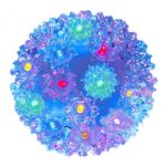 50 Multi LED 6" Sphere