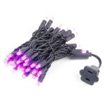 50 LED Pink LED Christmas Lights 11' Long on Black Wire