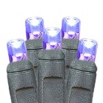 50 LED Purple LED Christmas Lights 11' Long on Black Wire