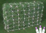 Pink LED Net Lights, White Wire 4x6