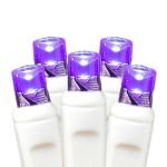 Purple LED Net Lights, White Wire 4x6