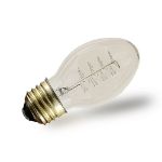 PS58 Vintage Edison Bulb - E26 - 25 Watt -1 Pack**ON SALE**