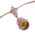 25 Clear S14 Commercial Grade Suspended Light String Set on 37.5' of Brown Wire 
