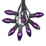 C9 25 Light String Set with Purple Bulbs on Black Wire