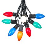 C9 25 Light String Set with Ceramic Assorted Bulbs on Black Wire