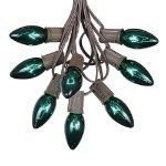 25 Twinkling C9 Christmas Light Set - Green - Brown Wire