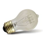 15 A19 Vintage Edison String Light Set - 48' - Black Wire 