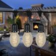 15 PS58 Vintage Edison String Light Set - 48' - Black Wire 