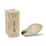 15 PS58 Vintage Edison String Light Set - 48' - Black Wire 