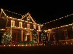 C9 25 Light String Set with Ceramic Assorted Bulbs on White Wire