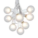 25 G50 Globe Light String Set with Frosted Bulbs on White Wire