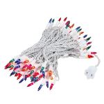 Multi Christmas Mini Lights 100 Light 50 Feet Long on White Wire