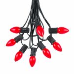 25 Light String Set with Red Ceramic C7 Bulbs on Black Wire