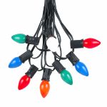 25 Light String Set with Assorted Ceramic C7 Bulbs on Black Wire