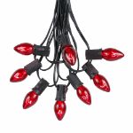 25 Light String Set with Red Transparent C7 Bulbs on Black Wire
