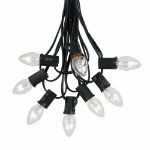 25 Light String Set with Clear Transparent C7 Bulbs on Black Wire