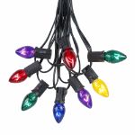 C7 25 Light String Set with Multi-Colored Twinkle Bulbs on Black Wire