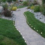Universal Light Stake 25 Pack