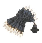 Black Wire Clear Christmas Mini Lights 50 Light 11 Feet Long