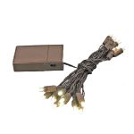 20 LED Battery Operated Lights Warm White Brown Wire