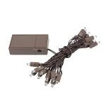 20 LED Battery Operated Lights Warm White Brown Wire