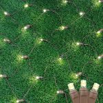 Warm White LED Net Lights 2x10 Brown Wire