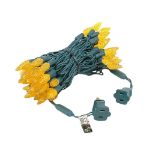 Amber 70 LED C6 Strawberry Mini Lights Commercial Grade on Green Wire