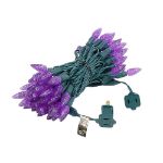 Purple 70 LED C6 Strawberry Mini Lights Commercial Grade on Green Wire