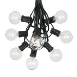 25 G40 Globe String Light Set with Clear Bulbs on Black Wire