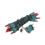 Non Connectable Red Green Wire Mini Lights 20 Light 8.5'