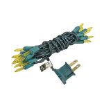Non Connectable Yellow Green Wire Mini Lights 20 Light 8.5'