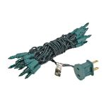 Non Connectable Green Green Wire Mini Lights 20 Light 8.5'
