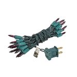 Non Connectable Purple Green Wire Mini Lights 20 Light 8.5'