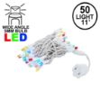 50 LED Multi LED Christmas Lights 11' Long on White Wire