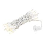 20 Light 9' Long White Wire Christmas Mini Lights