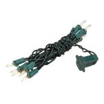 10 Light 5.5' Green Wire Christmas Mini Lights