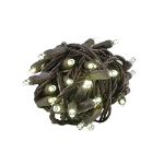 Coaxial 50 LED Warm White 4" Spacing Brown Wire