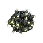 Coaxial 50 LED Warm White 4" Spacing Black Wire
