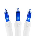 Non Connectable Blue White Wire Mini Lights 20 Light 8.5'