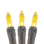 Non Connectable Yellow Brown Wire Mini Lights 20 Light 8.5'