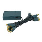 20 LED Battery Operated Lights Amber/Orange Green Wire