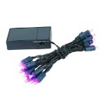 20 LED Battery Operated Lights Pink Green Wire