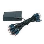 20 LED Battery Operated Lights Pink Green Wire