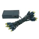 20 LED Battery Operated Lights Yellow Green Wire