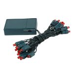 20 LED Battery Operated Lights Red Green Wire