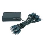 20 LED Battery Operated Lights Pure White Green Wire