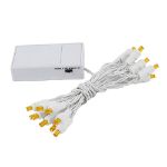 20 LED Battery Operated Lights Amber Orange White Wire