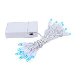 20 LED Battery Operated Lights Blue White Wire
